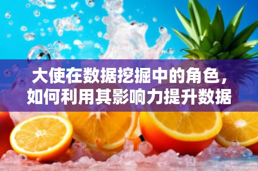 大使在数据挖掘中的角色，如何利用其影响力提升数据洞察力？