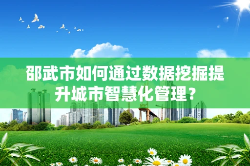 邵武市如何通过数据挖掘提升城市智慧化管理？