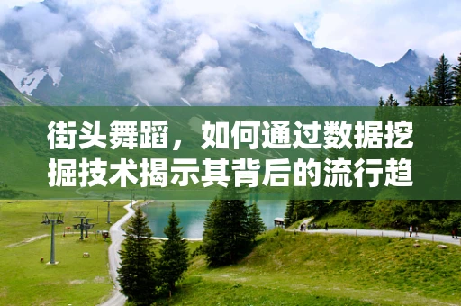 街头舞蹈，如何通过数据挖掘技术揭示其背后的流行趋势与文化价值？