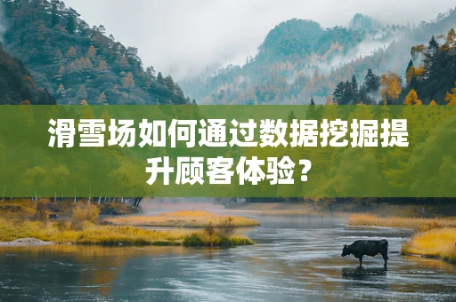 滑雪场如何通过数据挖掘提升顾客体验？