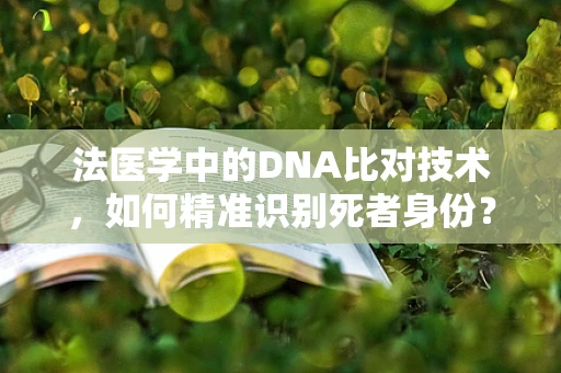 法医学中的DNA比对技术，如何精准识别死者身份？