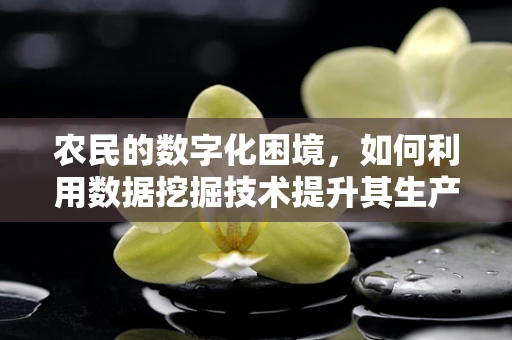 农民的数字化困境，如何利用数据挖掘技术提升其生产效率？