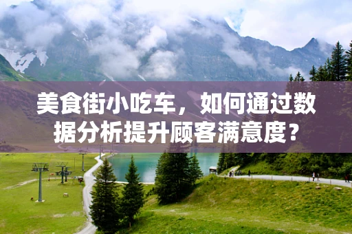 美食街小吃车，如何通过数据分析提升顾客满意度？