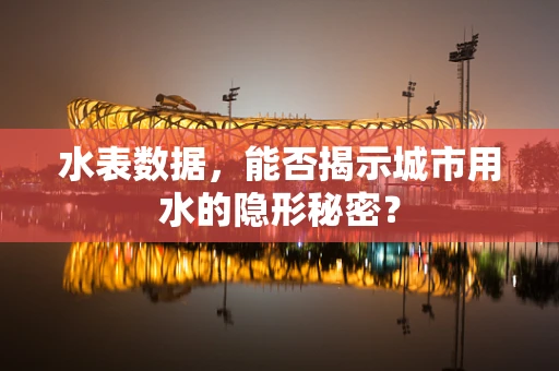 水表数据，能否揭示城市用水的隐形秘密？