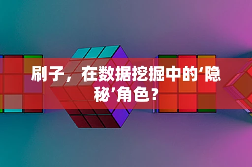 刷子，在数据挖掘中的‘隐秘’角色？
