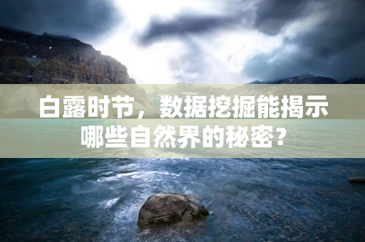 白露时节，数据挖掘能揭示哪些自然界的秘密？