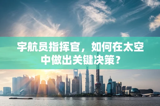 宇航员指挥官，如何在太空中做出关键决策？