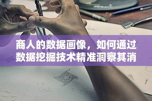 商人的数据画像，如何通过数据挖掘技术精准洞察其消费行为？