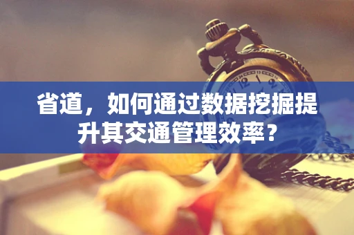 省道，如何通过数据挖掘提升其交通管理效率？