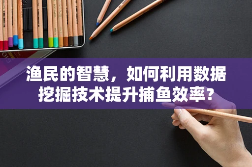 渔民的智慧，如何利用数据挖掘技术提升捕鱼效率？