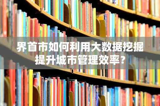 界首市如何利用大数据挖掘提升城市管理效率？
