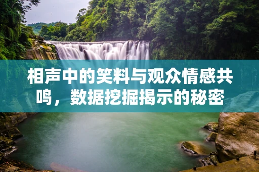 相声中的笑料与观众情感共鸣，数据挖掘揭示的秘密