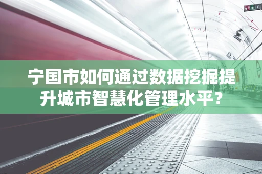 宁国市如何通过数据挖掘提升城市智慧化管理水平？