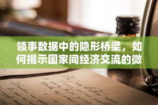 领事数据中的隐形桥梁，如何揭示国家间经济交流的微妙联系？