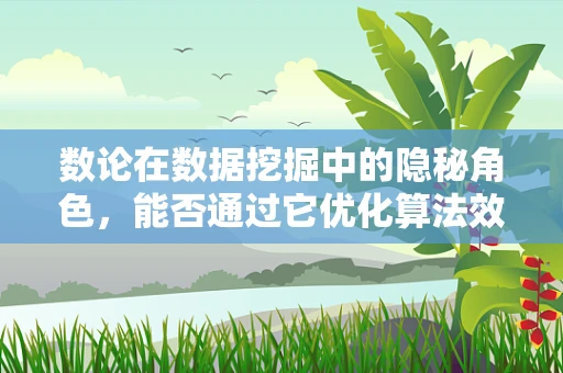 数论在数据挖掘中的隐秘角色，能否通过它优化算法效率？