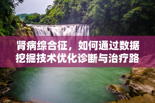 肾病综合征，如何通过数据挖掘技术优化诊断与治疗路径？