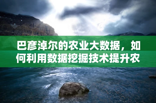 巴彦淖尔的农业大数据，如何利用数据挖掘技术提升农业生产效率？