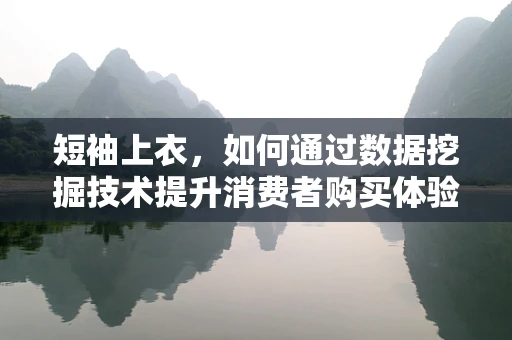 短袖上衣，如何通过数据挖掘技术提升消费者购买体验？