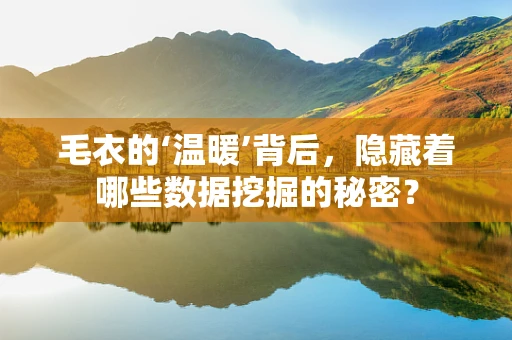 毛衣的‘温暖’背后，隐藏着哪些数据挖掘的秘密？