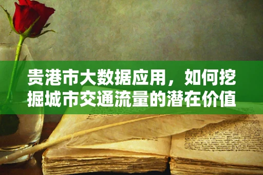 贵港市大数据应用，如何挖掘城市交通流量的潜在价值？