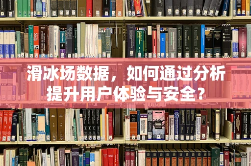 滑冰场数据，如何通过分析提升用户体验与安全？