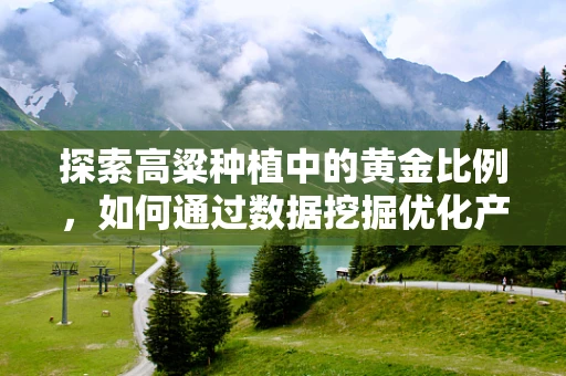 探索高粱种植中的黄金比例，如何通过数据挖掘优化产量？