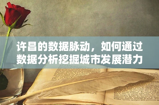 许昌的数据脉动，如何通过数据分析挖掘城市发展潜力？