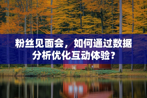 粉丝见面会，如何通过数据分析优化互动体验？