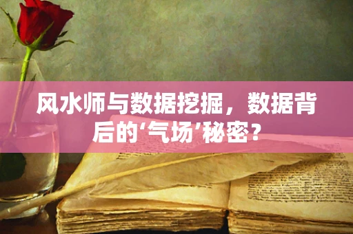 风水师与数据挖掘，数据背后的‘气场’秘密？