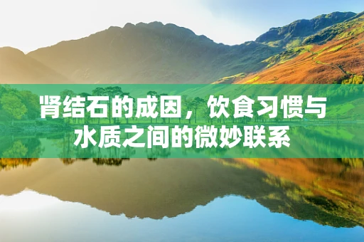 肾结石的成因，饮食习惯与水质之间的微妙联系