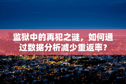 监狱中的再犯之谜，如何通过数据分析减少重返率？