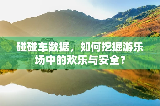 碰碰车数据，如何挖掘游乐场中的欢乐与安全？