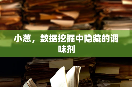 小葱，数据挖掘中隐藏的调味剂