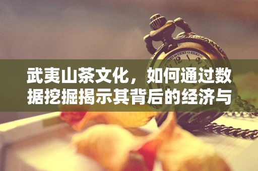 武夷山茶文化，如何通过数据挖掘揭示其背后的经济与文化价值？