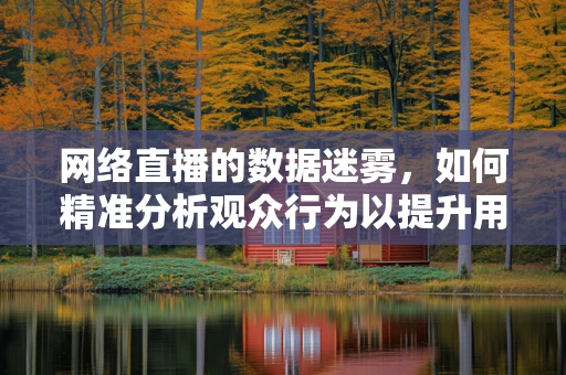网络直播的数据迷雾，如何精准分析观众行为以提升用户体验？
