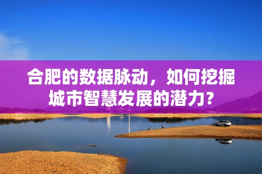 合肥的数据脉动，如何挖掘城市智慧发展的潜力？