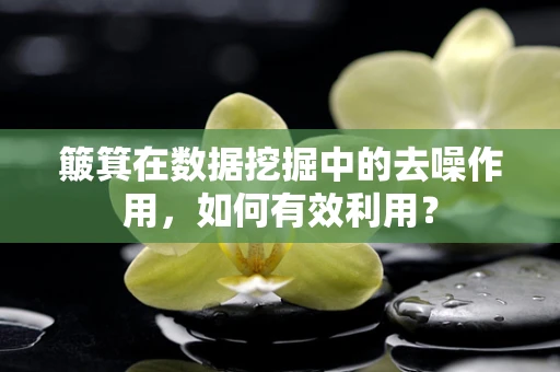 簸箕在数据挖掘中的去噪作用，如何有效利用？