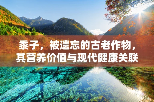 黍子，被遗忘的古老作物，其营养价值与现代健康关联如何？