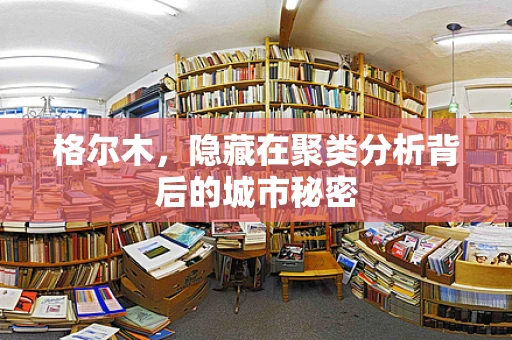 格尔木，隐藏在聚类分析背后的城市秘密