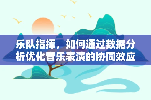 乐队指挥，如何通过数据分析优化音乐表演的协同效应？