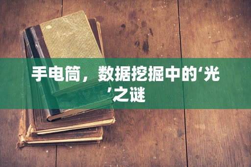 手电筒，数据挖掘中的‘光’之谜