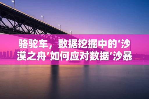 骆驼车，数据挖掘中的‘沙漠之舟’如何应对数据‘沙暴’？