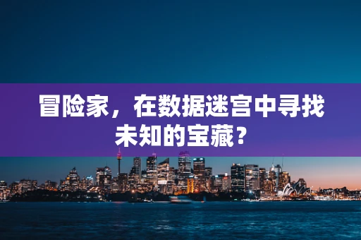 冒险家，在数据迷宫中寻找未知的宝藏？