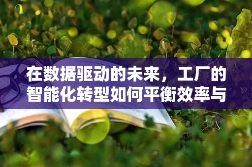 在数据驱动的未来，工厂的智能化转型如何平衡效率与隐私？