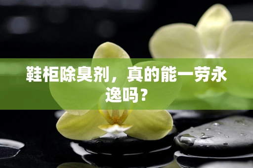 鞋柜除臭剂，真的能一劳永逸吗？