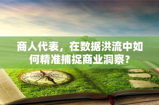商人代表，在数据洪流中如何精准捕捉商业洞察？