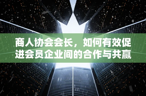 商人协会会长，如何有效促进会员企业间的合作与共赢？