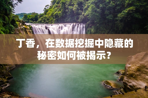 丁香，在数据挖掘中隐藏的秘密如何被揭示？