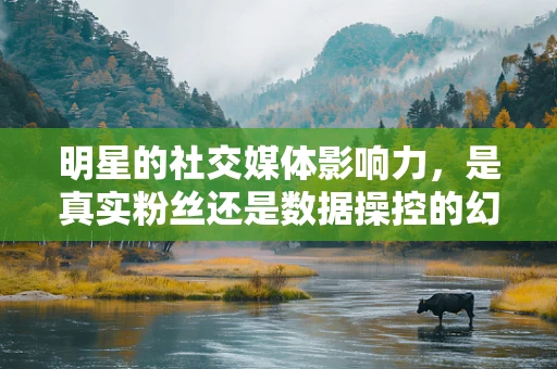明星的社交媒体影响力，是真实粉丝还是数据操控的幻象？
