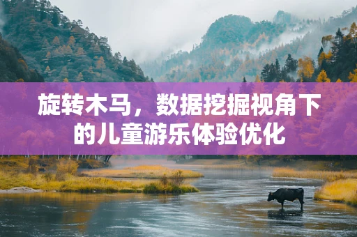 旋转木马，数据挖掘视角下的儿童游乐体验优化
